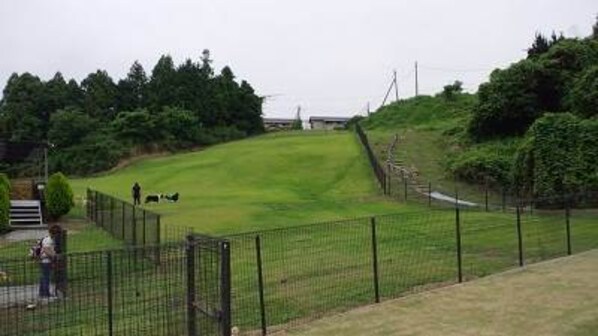 伊勢川島駅 徒歩10分 1階の物件内観写真